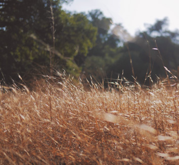 经典比拼场面打破，球员手脚并用